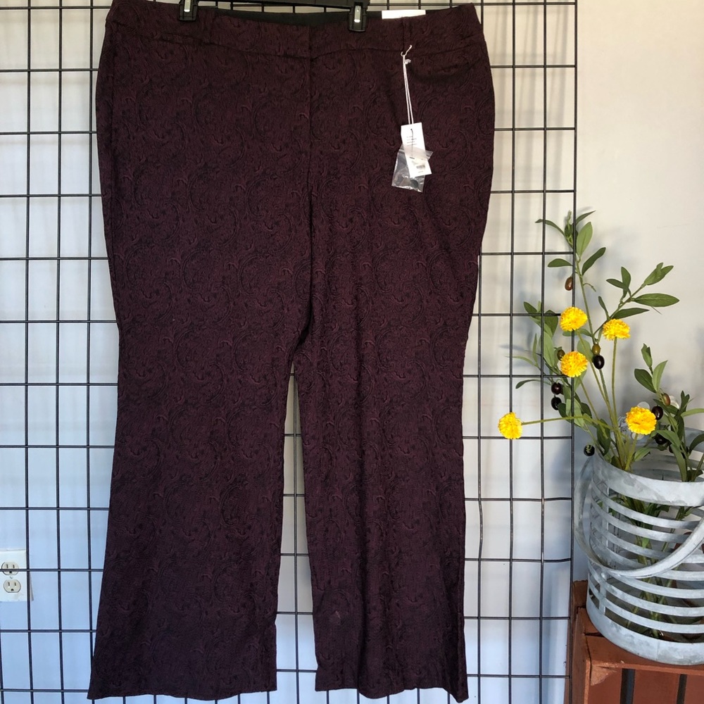 Lane Bryant plus size women pants